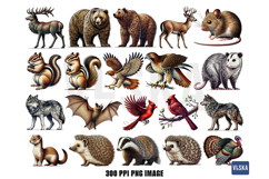 Woodland Animal PNG Clipart Bundle Product Image 3