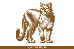 Mountain Lion Vector SVG Bundle Product Image 4