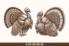 6 Turkey SVG Vector Design Bundle Product Image 4