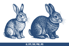 Rabbit Vector SVG Bundle Product Image 4