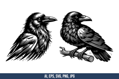 Crows Vector SVG Bundle Product Image 4