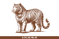 Tiger Vector SVG Bundle Product Image 5