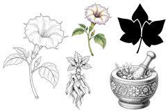 Deadly Nightshade Ink - 5 Gothic Botanical Line Art PNGs Product Image 2