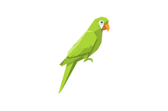 Green parrot perched with geometric shapes minimal design fl Product Image 1