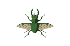 Green stag beetle with outstretched wings detailed flat inse Product Image 1