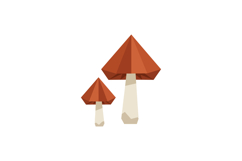 Two brown capped mushrooms with beige stems in simple minima Product Image 1