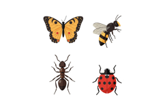 Diverse colorful insects including butterfly bee ant and lad Product Image 1
