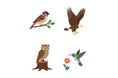 Various wild birds including sparrow eagle owl and hummingbi Product Image 1