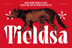 Tieldsa - Bold Serif Display Font Product Image 1