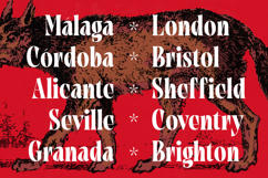 Tieldsa - Bold Serif Display Font Product Image 4