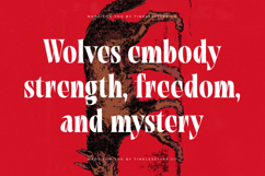 Tieldsa - Bold Serif Display Font Product Image 5