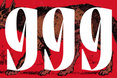 Tieldsa - Bold Serif Display Font Product Image 10