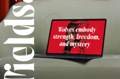 Tieldsa - Bold Serif Display Font Product Image 15