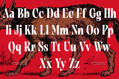 Tieldsa - Bold Serif Display Font Product Image 17