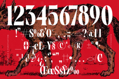 Tieldsa - Bold Serif Display Font Product Image 18