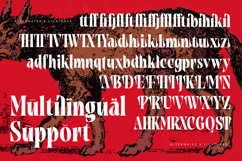 Tieldsa - Bold Serif Display Font Product Image 19