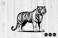 Tiger SVG, Tiger face SVG, Animal SVG, Tiger Silhouette SVG Product Image 1