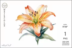 Tiger Lily flower PNG clipart|Watercolor lillie| floral png Product Image 1
