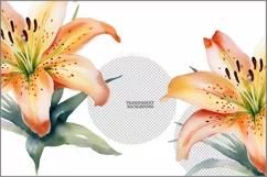 Tiger Lily flower PNG clipart|Watercolor lillie| floral png Product Image 3