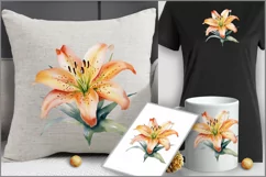 Tiger Lily flower PNG clipart|Watercolor lillie| floral png Product Image 4