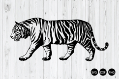 Tiger Walking SVG, Tiger SVG, Animal SVG Product Image 1