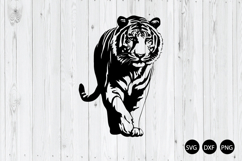 Tiger Walking SVG, Tiger SVG, Animal SVG Product Image 1