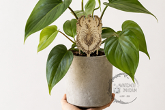 Gothic Plant Stake - Tillandsia - SVG PNG Laser Cut - Gard Product Image 4