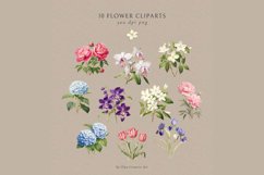 Vintage Charm Flowers Clip Art Hand-Drawn Botanical Prints Product Image 2