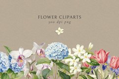 Vintage Charm Flowers Clip Art Hand-Drawn Botanical Prints Product Image 1