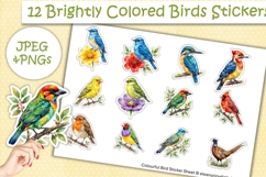 Cute Brightly Colored Bird Stickers PNG &amp; JPEG Product Image 1