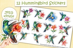 Cute Brightly Hummingbird Stickers PNG &amp; JPEG Product Image 1