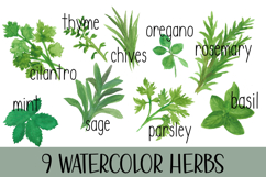 Hand painted watercolor Garden Herbs Product Image 1