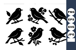 Black bird silhouettes perched on branches with flowers vect Product Image 1