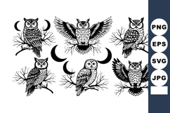 Owl collection with crescent moons perched on branches in bl Product Image 1