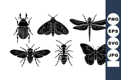 Six black silhouette insects including beetle moth dragonfly Product Image 1