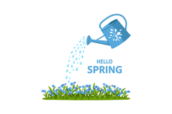 A blue watering can pouring water over vibrant blue flowers Product Image 1