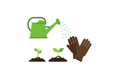 Green watering can pouring water on young plants with garden Product Image 1
