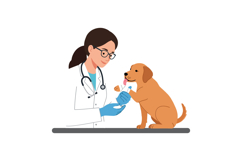 Veterinarian in a white coat administering medicine to a fri Product Image 1