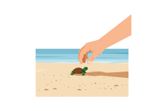 Small turtle on sandy beach with human hand reaching down ve Product Image 1
