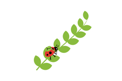 Ladybug crawling on green leaf branch vector illustration wi Product Image 1
