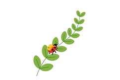 Ladybug crawling on green leaf branch vector illustration na Product Image 1