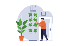 Man Caring for Hanging Indoor Plants Green Leaves Home Garde Product Image 1