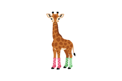 Giraffe wearing colorful polka dot socks standing on white b Product Image 1