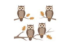 Brown Owls Sitting on Tree Branches with Autumn Leaves Vecto Product Image 1