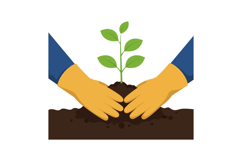 Hands in yellow gloves planting a small green seedling in da Product Image 1