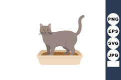 Gray cat standing in litter box indoor pet hygiene care vect Product Image 1