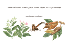 Tobacco Watercolor Hand-Painted Clipart and Pattern Product Image 2