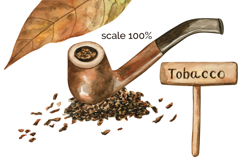 Tobacco Watercolor Hand-Painted Clipart and Pattern Product Image 5
