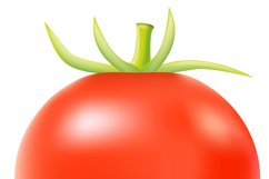 set of icons fresh vegetables vector illustration Product Image 12