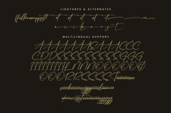 Tomithayen Product Image 4